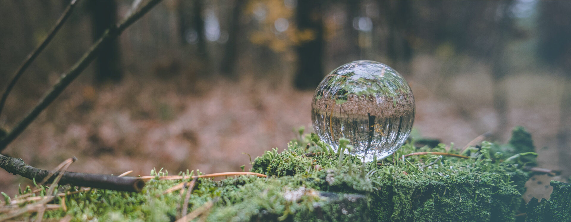 20230516-SustainabilityCenter-Overview-top-banner-2880×1120-comp-BlueFilter - IMD Business School