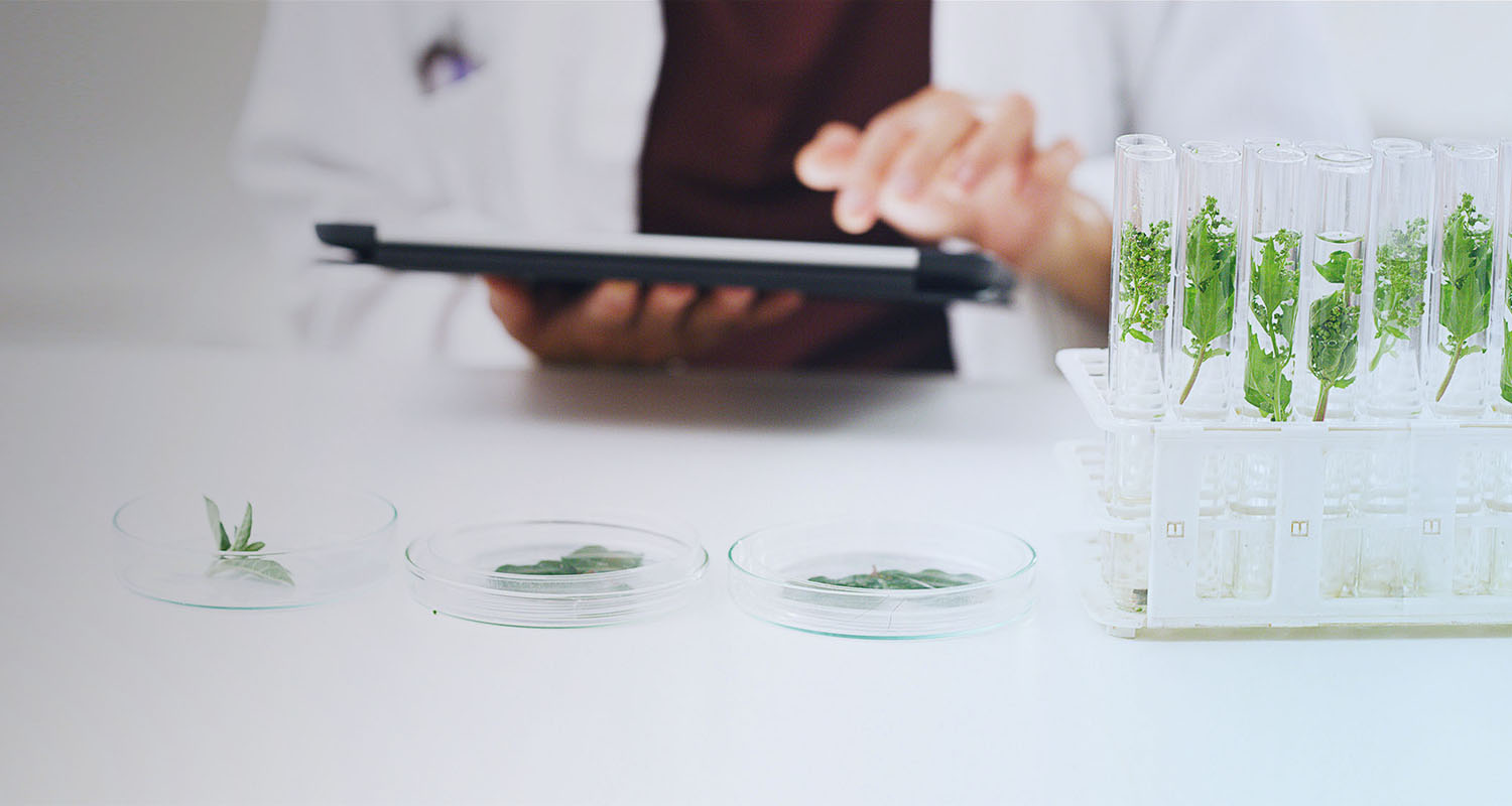 20230522-Centers-Overview-E4S-2880×1120-BlueFilter-1500×800 - IMD Business School