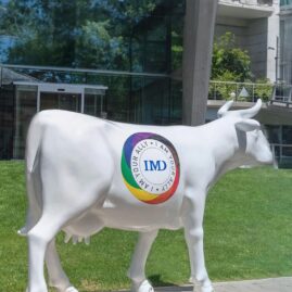 202305908-Centers-LP-DEI-BlueFilter-1500×800-1 - IMD Business School