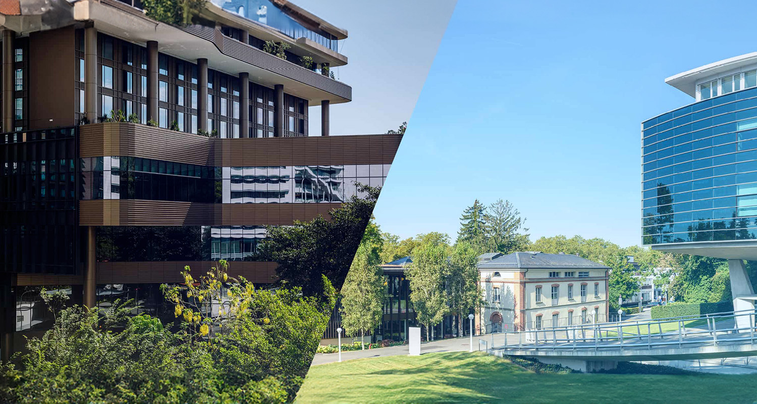 20231215-Corporate-Solutions-TopBanner-Mobile-1500×800-BlueFilter (1) - IMD Business School