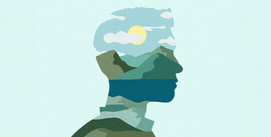 20240916-Emotional-landscape-740x374 - IMD Business School