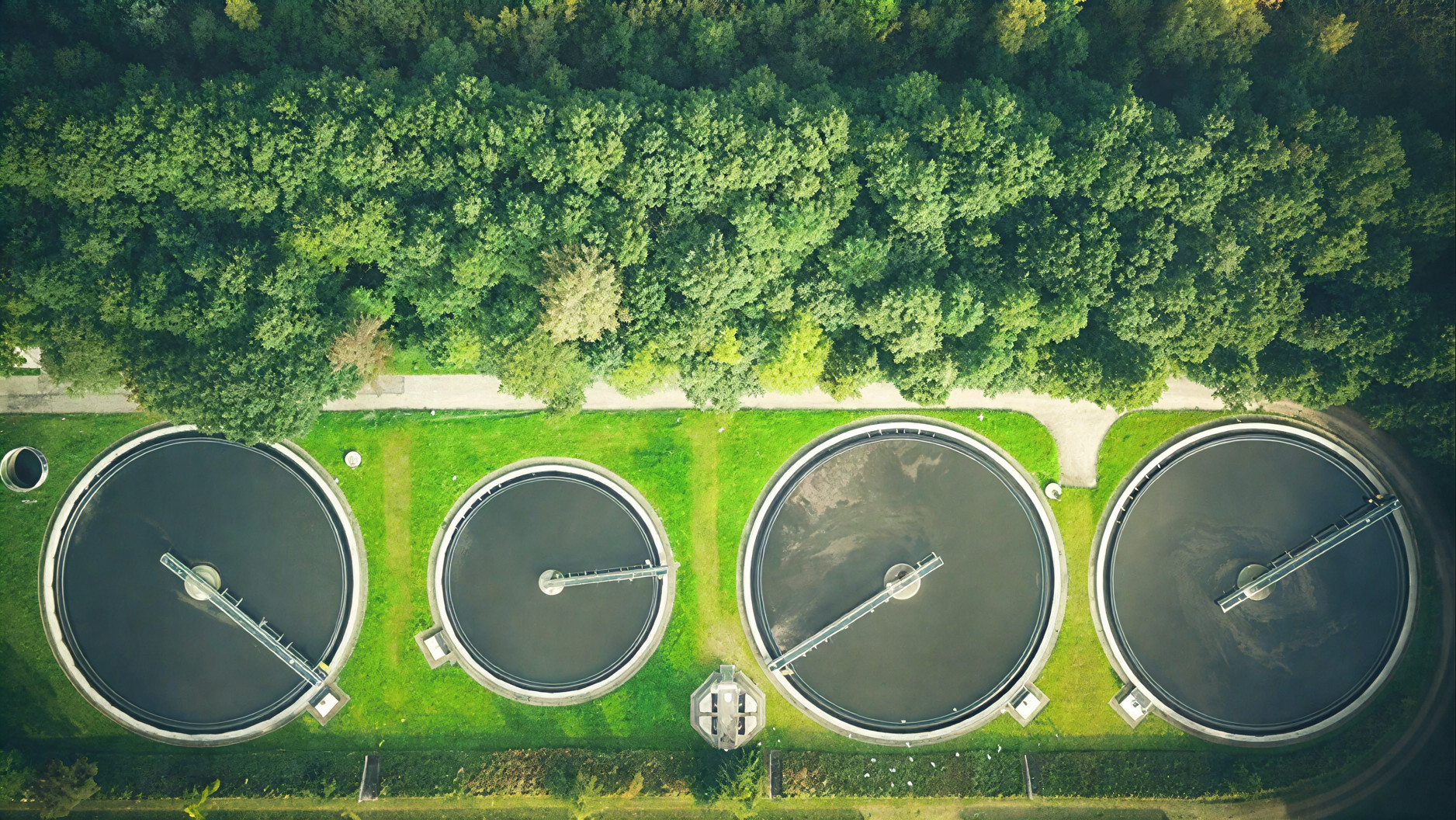 Case of the month - Jan 2026 - IMD Business School