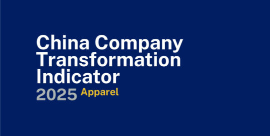 CCTI 2025 Apparel 740x374 - IMD Business School