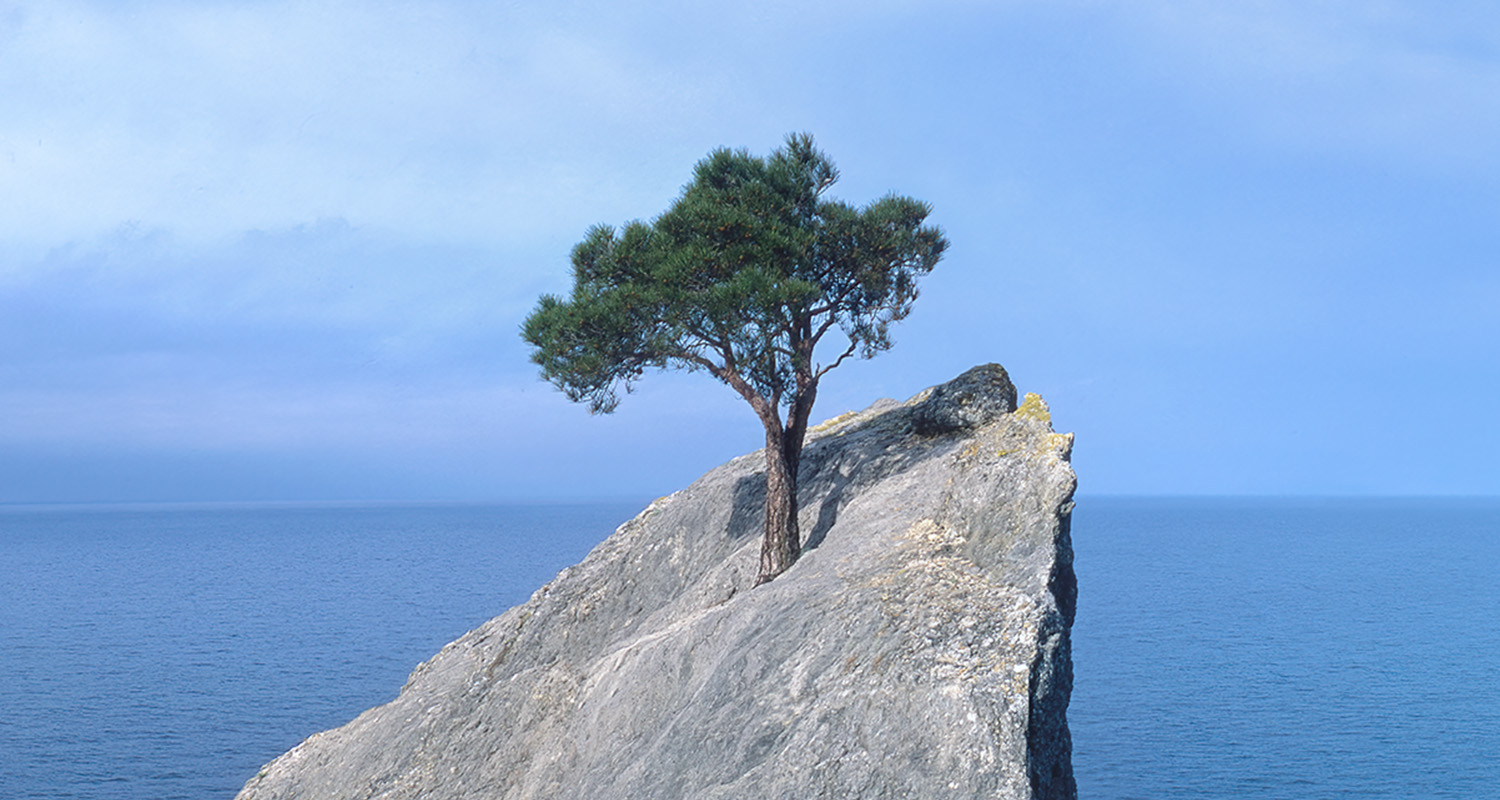 mobile-1500x800 - IMD Business School