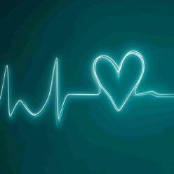 NEW-Mainarticle_EKG_MidjourneyV_paulandcat-scaled 1 - IMD Business School