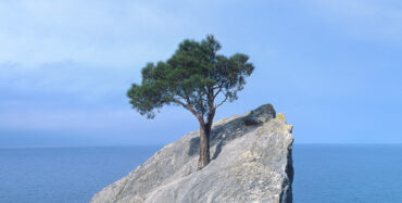 Sprint_RLS_740x374 - IMD Business School