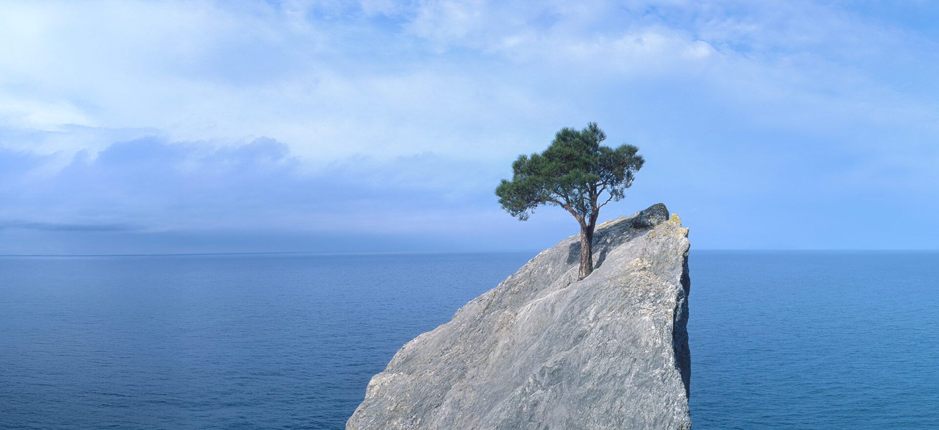 tablet-2400x1100 - IMD Business School